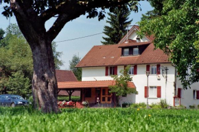  Gasthof zum Hirsch  Нойкирх